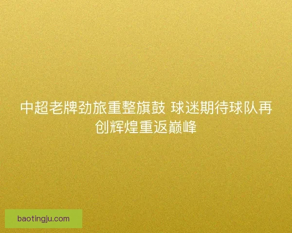 中超老牌劲旅重整旗鼓 球迷期待球队再创辉煌重返巅峰